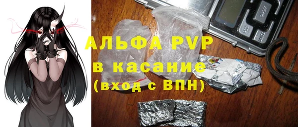 прущие грибы Белоозёрский